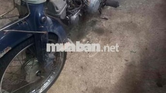 Honda Super Cub 50 Xanh