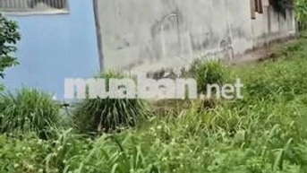 Siêu phẩm lô đất vị trí trung tâm bà rịa vũng tàu