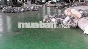 Cho Thuê kho Cụm Công Nghiệp Mỹ Hạnh long An