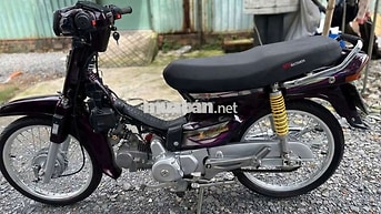 Honda Dream Tím Xe số