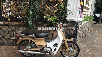 Honda Cub 84 /50cc  nữ hoàng . Bstp