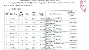 Thanh lý 11 xe Ô tô tải (Hino, Hyndai, Isuzu, Thaco)