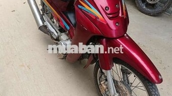  Holder 50CC đỏ