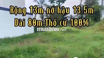 5ty500tr cho đất 1094m2  mặt tiền tân an .long an. full thổ