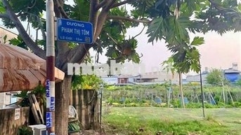 Đất thổ cư 3 mặt tiền Phạm Thị Tôm-Đông Thạnh-Hóc Môn.12x27~322m~8,4ty