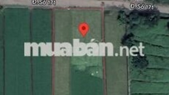 Bán đất mt đường 171 ( Hà Duy Phiên ) Bình Mỹ Củ Chi , 2257m2