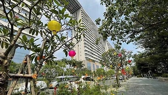 Diamond Lotus - 49m2 1PN  view Q1, đang cho thuê thu nhập 9tr/tháng 