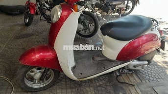 Honda Scoopy 2024 Đỏ, trắng
