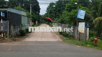 300m2 đường bê tông 5m ngay chợ An Linh