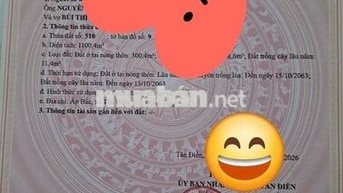 Bán đất xã Kênh 1 xã Tân Điền, Đồng Tháp (Tiền Giang cũ)