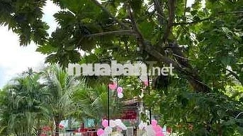Cần sang lại quán ăn sân vườn , có phòng vip