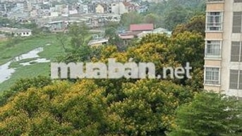 Cần bán Căn Hộ nhìn công viên đẹp