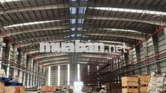 xưởng 1500m² giá thuê 135 triệu pccc tự động