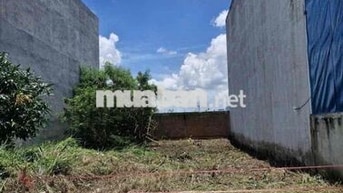 Đất thổ cư đường ô tô ở thị Trấn Cần Giuộc