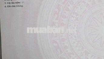 ĐẤT VỊ TRÍ ĐẸP MÀ THẤP XĨU LUÔN