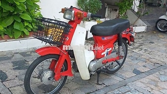 Honda Cub Dd