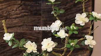 Cho THUÊ NHÀ HẺM 5 M ĐƯỜNG TÂN KỲ TÂN QUÝ 4 x 15 M ĐUC 1 LÂU : 3 PN 