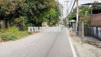 NHÀ MẶT TIỀN ĐƯỜNG NHỰA THÔNG LỚN HÓC MÔN