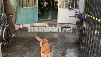 Nhà phố 49,8 m² · 2 PN · Đường Nguyễn Trãi