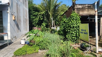 Hạ giá 200 triệu 116m2 Thái Mỹ ,Củ Chi, đường nhựa, đông dân, SHR