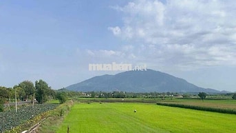 Bán 6796,5m2 đất lúa ngay chợ Lang Minh,sát đường DT765 chỉ 1,4 tỷ