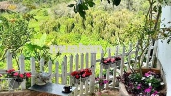 CHO THUÊ NHÀ NGUYÊN CĂN 4 PHÒNG NGỦ VIEW RỪNG THÔNG FULL NỘI THẤT