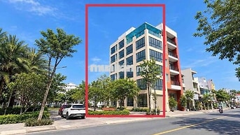 CHO THUÊ TÒA NHÀ VĂN PHÒNG PHỐ ĐI BỘ BẠCH ĐẰNG- THỦ DẦU MỘT- BÌNH DƯƠN