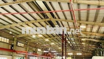 Kho xưởng cho thuê tại Tân Tạo Bình Tân thành phố Hồ Chí Minh 1870m