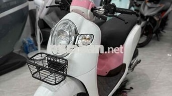 Honda Scoopy 2020 Trắng hồng Thái Lan