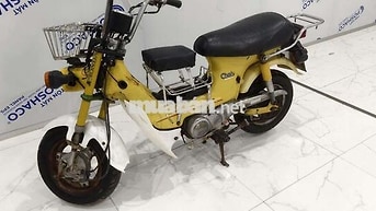 Honda Chaly 81 Vàng