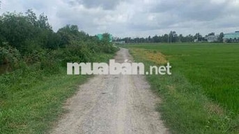 cần bán lô đất vườn tại phước thạnh củ chi