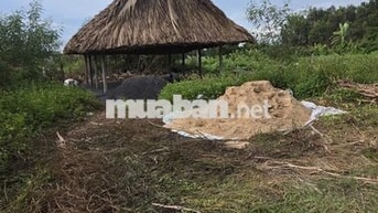 🌿 CHÍNH CHỦ BÁN 500 M² ĐẤT VƯỜN – PHÚ HÒA ĐÔNG MỚI 🌿  📍