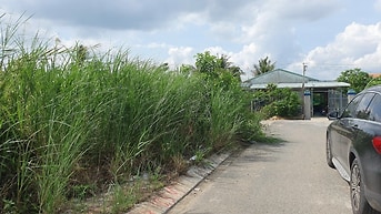 Bán đất đối diện trường tiểu học Long Hòa, Xã Rạch Kiến Tây Ninh(mới)