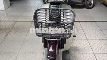 Honda Super Dream 2010 Nâu, Trắng