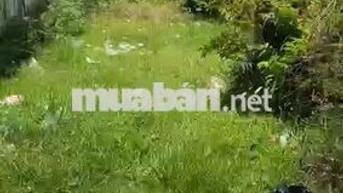 Chính chủ 295m2 thổ cư 1 sẹc Kênh 3 Hòa Khánh, hẻm ô tô sát biệt thự