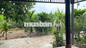 Diện tích 9.747m², khuôn viên rộng, thửa đất có nhiều mặt thoáng, phù