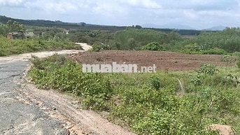 📌BÁN ĐẤT ĐẦU TƯ GẦN KCN BẦU CẠN - TÂN HIỆP (LONG THÀNH) - SẴN 300M² TH