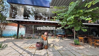 Cho thuê MBKD 800m trung tâm Thủ Dầu Một, Bình Dương   - Diện tích: 80