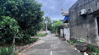 Chính Chủ Bán Mảnh Đất Khu 3 Đồng Trúc Sát Trục Chính