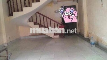 Cho thuê nhà MTKD 4,2x12M- gần chợ Tân Trụ- Trường Chinh- Tân Bình
