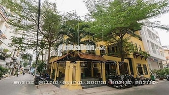 🏡 BIỆT THỰ NÚP HẺM 500M² – CÁCH VẠN HẠNH MALL 300M