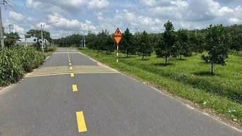 Chủ kẹt tiền bán lỗ hơn 1 sào vườn mít ngay mặt tiền đường lớn