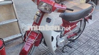 Honda Dream 2024 Đỏ trắng