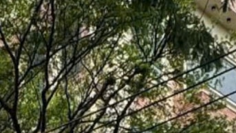 căn góc 2MT, 297m2 đất đường Nguyễn Văn Linh, P Tân Thuận Tây, Q7