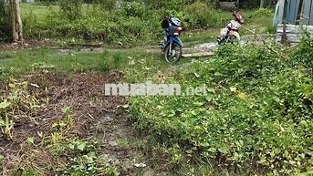 💥1,4 tỷ/430,9m² đất tại ấp 2 xã Bình Chánh TP HCM