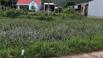 Bán đất xã tuy phước tây, Gia Lai mới