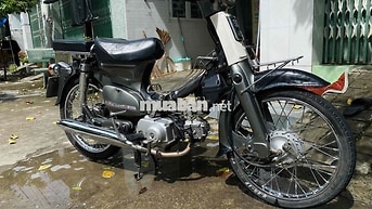 Honda Cub 81