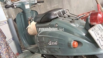 Honda Verde Cổ điển Nhập khẩu màu Xám