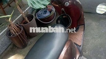 Xe tay ga Atila 2013 Nữ Nâu
