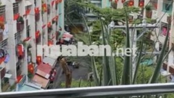 Cho thuê chung cư huỳnh văn chính 1, 45m2